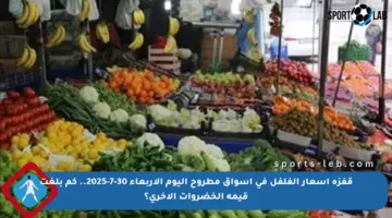 قفزة أسعار الفلفل في أسواق مطروح اليوم الأربعاء 30-7-2025.. كم بلغت قيمة الخضروات الأخرى؟